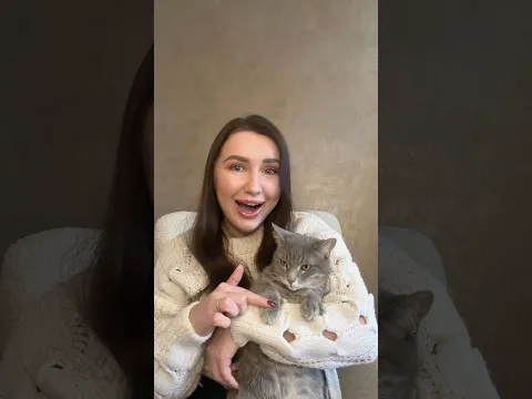 Trend cat paws like my cat's 🐾 #testing #challenge #cat #catpaw #tiktok #shots #henna #asmr #2026