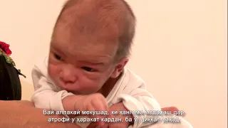 Инкишофи кӯдак дар синни як моҳагӣ: шиносоӣ бо ҳамдигар