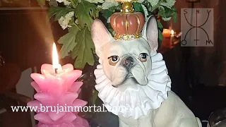 Maratón de las brujas 2024 Febrero