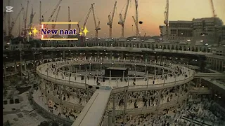 New naat humne Sine Mein Madina Basa Rakha Hai mehfil Rasool #islamicvideo #foryou #fpyシ 