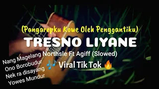 Pangarepku Kowe Oleh Penggantiku - 🎶 Tresno Liyane (Slowed) Viral Tik Tok 🔥