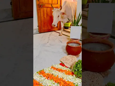 Gaumata Ji Bhojan Karti Hui 🙏🏻#gaumata #gauseva