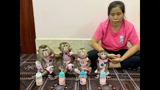 Mom Best Teaching 4 Siblings To Sit Meditating Very Calmly Before Breakfast Treat Together ,