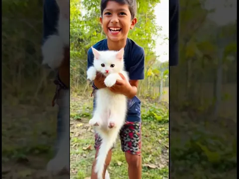 All brother and sis showing there Fictional Pet Animal 🐈🐒🦁 #animal