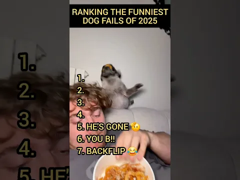 RANKING The Funniest Dog Clips of 2025 #funny #dog #fail