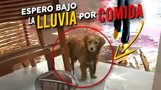 Bajo la lluvia esperaba que le dieran algo de comer