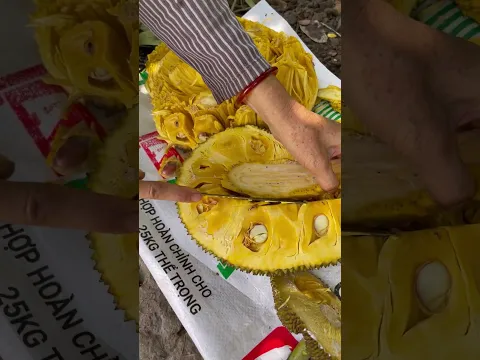 Jackfruit cutting skills - For fruit lovers