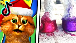 The FUNNIEST TikTok Videos #125 (DON'T LAUGH CHALLENGE 2024)