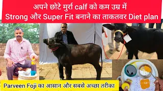 😎अब छोटी उम्र में बनाए अपने मुर्रा Calf को 💪Superfit, Strong 💪..आसान और सटीक तरीका ।। Parveen Foji