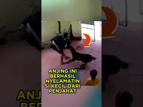 Anjing Ini Pura-pura M*ti Untuk Selamatkan Si Gadis 🐕‍🦺🥺 #shorts #anjing