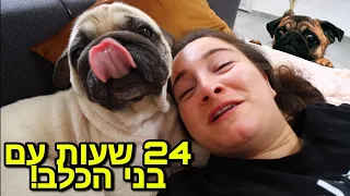 24 שעות בני הכלב ואני עושים שטויות!🤣 * פאג סיני חמוד *