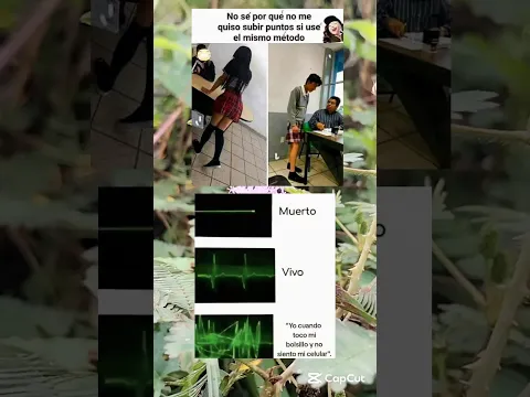 Memes random xd
