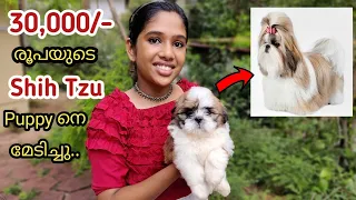 30,000/- രൂപയുടെ Shih Tzu Puppy യെ മേടിച്ചു!!😍 | Finally Bought A New Pet Dog | Lidiya Francis