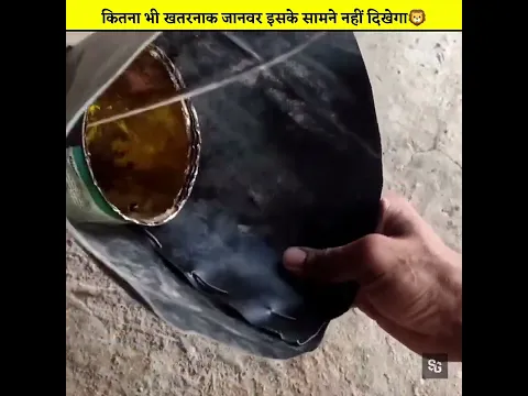 देशी जुगाड से नहीं दिखेगा जानवर 😨#shorts #supergyani #trending