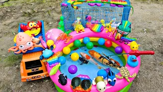 Menangkap Ikan Hias Dikolam, Ikan Laut, Kura Kura Brazil, Lobster, Bebek Berenang, Pop It, Part303