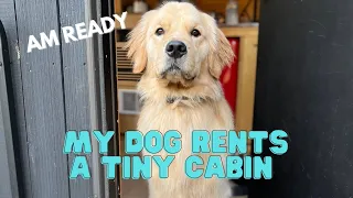 My Dog Rents A Tiny Cabin