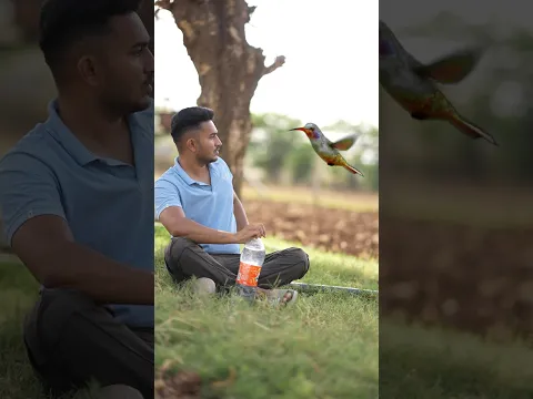 Making Bird Water Feeder #shorts #devkeexperiment