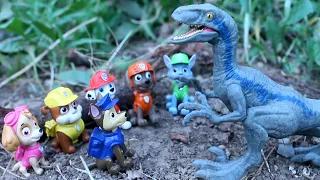 PAW PATROL y BLUE el VELOCIRAPTOR! Patrulla canina patrulla cachorros DINOSAURIOS videos para niños