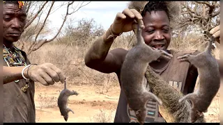 What hadzabe Tribe Eat & Drink? -Catches Rat