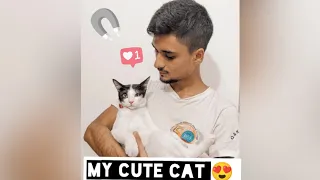 Funny cat MeMes Compilation videos of 2023 Part - 1 🙀  +