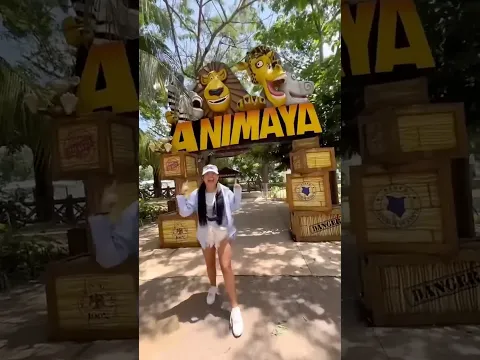 Se escapa un tigre del zoológico 😱