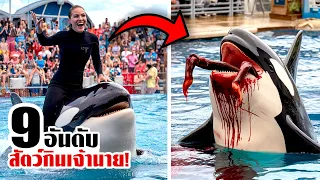 9 สัตว์ที่กินเจ้านายต่อหน้าคนนับพัน! (สยอง.!!)