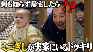 何も知らない両親の実家にポツンとミニギシが座っていたら家族はどんな反応をするのか？【ドッキリ】