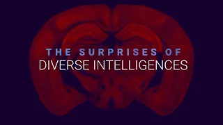 The Surprises of Diverse Intelligences