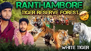 We Saw White Tiger🐅Ranthambore Dangerous Safari 😰 Rajasthan Ep7