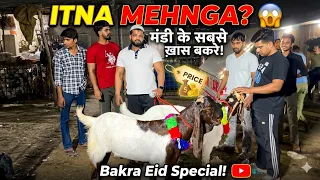 Mandi Ke Rates Ne To Hosh Uda Diye! 😱 Sabse Mehnge Bakre! Mandi Vlog 2026" #bakraeid2026 