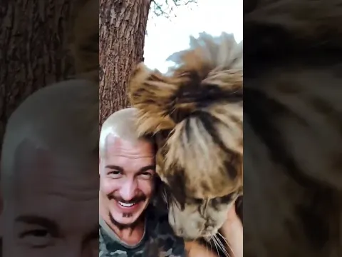 جرب أن يعطي ظهره للأسد فماذا حدث !؟