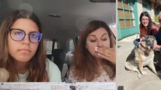 BÚCSÚ DOLLY KUTYUSTÓL