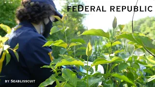 "feDeral republic"