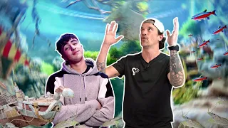 ON MONTE UN AQUARIUM À THÈME CHEZ @INOXTAG ! - TOOPET