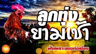 เพลงลูกทุ่งยามเช้า (คัดพิเศษ)  ฟังเพราะแบบต่อเนื่อง