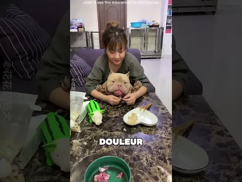La chienne devient maman pour la première fois 🥺❤️