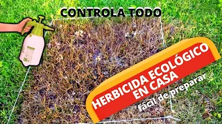 Cómo Preparar Un HERBICIDA CASERO NATURAL 100% ECOLÓGICO - Herbicida Orgánico