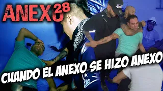Anexo 28 │ Christian Meza