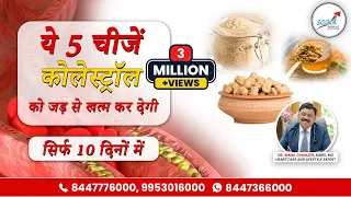 कोलेस्ट्रॉल (Cholesterol) को तेज़ी से कम करने का रामबाण उपाय | Cholesterol Control Foods | SAAOL