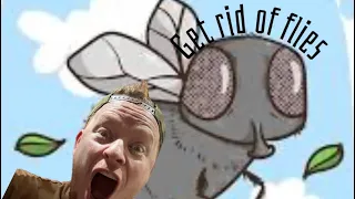 How to GET RID OF FLIES! 🤯