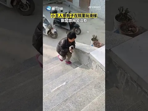 【大陸】治癒！萌娃帶狗狗台階上玩滑梯默契十足