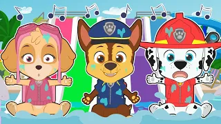 CINCO BEBÉS 🐕‍🦺🏄 Con la patrulla de perros en los toboganes de colores