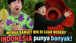 Di AMERIKA Musim Duren! -Mewah di Luar Negeri, di INDONESIA Kebanyakan Nih! (Video Kompilasi)