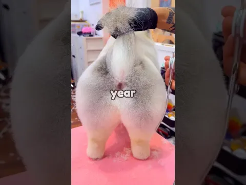 DO NOT CLICK THE SOUND😥