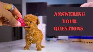 Live Q&A| 100K Giveaway Announcement