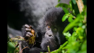 Kwita izina 2023 - Naming Ceremony
