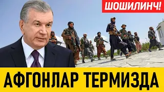 АФҒОНЛАРНИ ТЕРМИЗГА ҚАНДАЙ ЎТАЁТГАНИНИ КУРИНГ