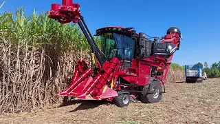 สดๆร้อนๆ รถตัดอ้อย 12 ล้าน  NEW CASE IH 8010 358 HP เปิดฤดูการ จัดให้ sugar cane harvaster EP.8973