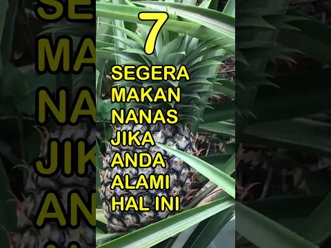 Segera Makan Nanas Jika Anda Alami 7 Ini #permanacuy