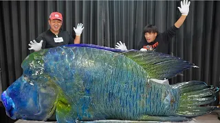 【解体】50kgの巨大ナポレオンフィッシュの中身が想像を絶する事態に…